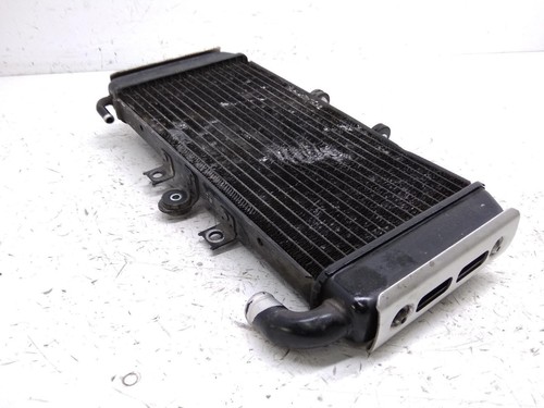 Radiateur Neuf Pour Yamaha FZS 600 Fazer 1998-2003 - Modèle 5RT-12461-00-00 - Compatible D'origine - Livraison France