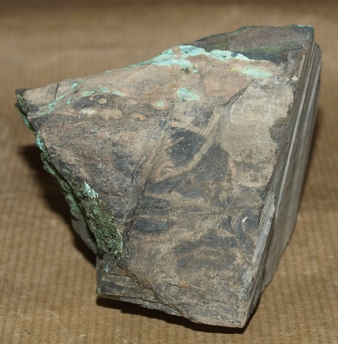 Permian age Petrified Wood, replacement with Azurite and Malachite - Picture 12 of 17