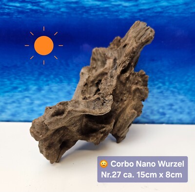  Corbo Root Nano  Aquarium Traum Wurzel