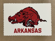 Postcard Fayetteville AR Arkansas Razorback University Mascot Go Hogs Pig