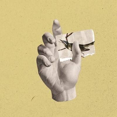 Catalina Walls, Fragments (CD) (US IMPORT)