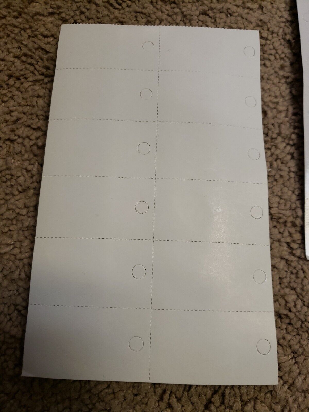Picture 5 of 6
