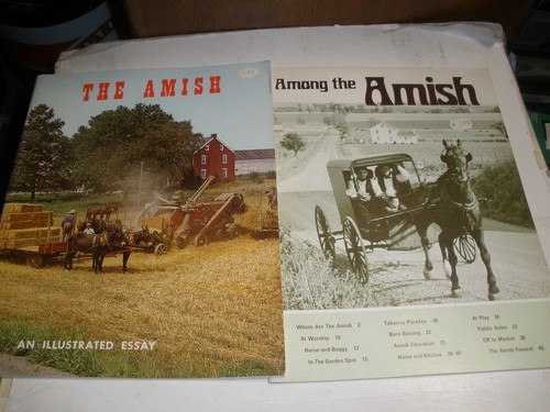 2 books The Amish 1975 & Among The Amish 1981 - Picture 1 of 4