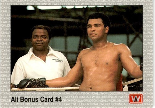 Vintage AW Sports 1991 All World Boxing Premier Edition Single Cards - You Pick - Picture 52 of 225