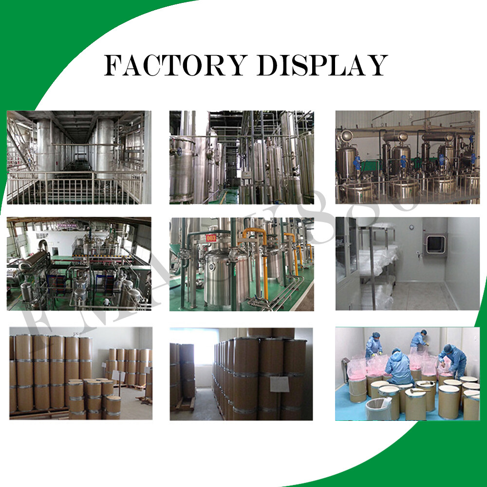 Trans Resveratrol Extract Pure Powder Antiaging Antioxidant USP