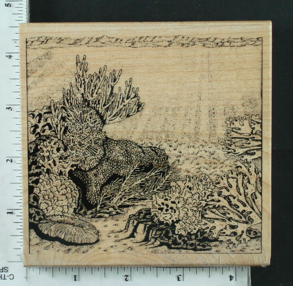Picture 46 of 53