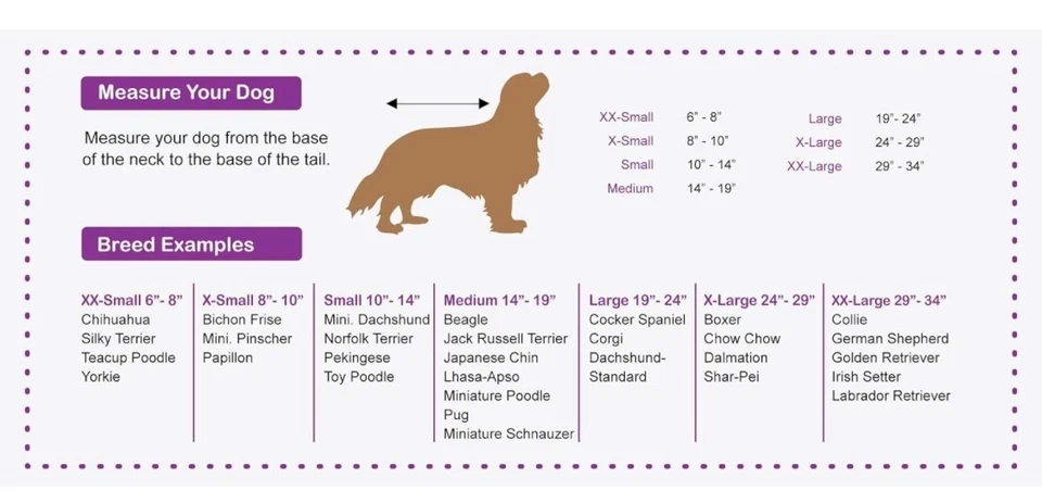 Botas para perros Ethical Pet Fashion Pet Extreme para todo clima, talla M Foto 2 de 4