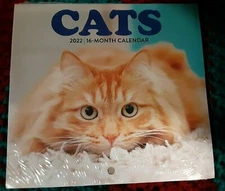  2022 Cats 16 Month Mini Wall Calendar 5.5" X 6" closed 6" X 11" open