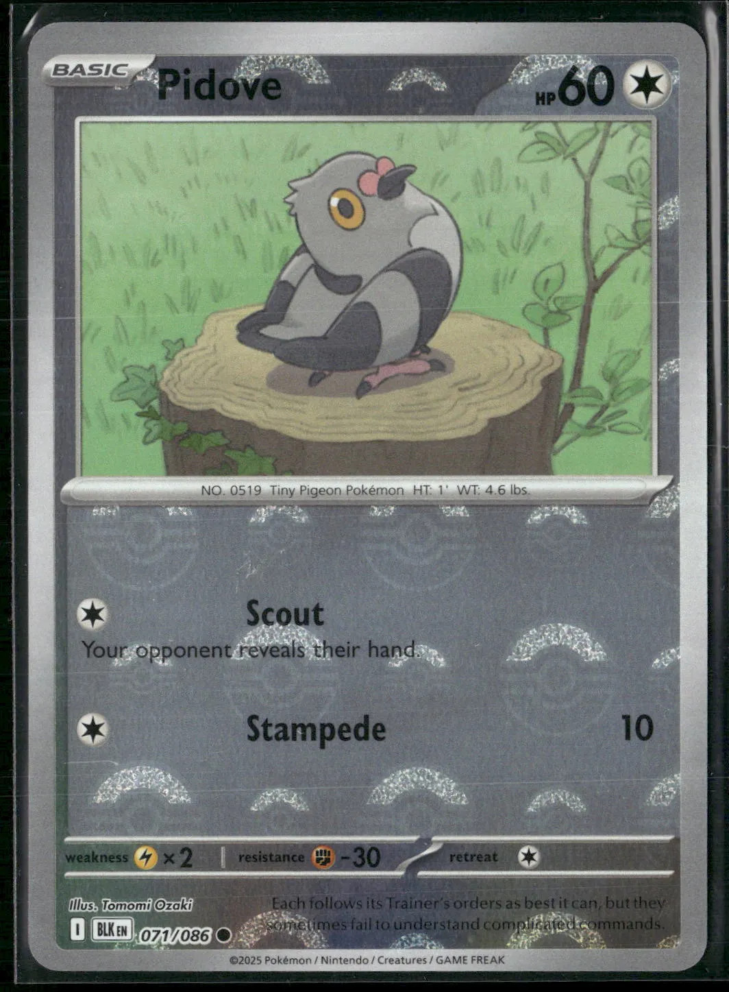 Pidove #71/86 2025 Scarlet & Violet Black Bolt Holo Poke Ball Pattern