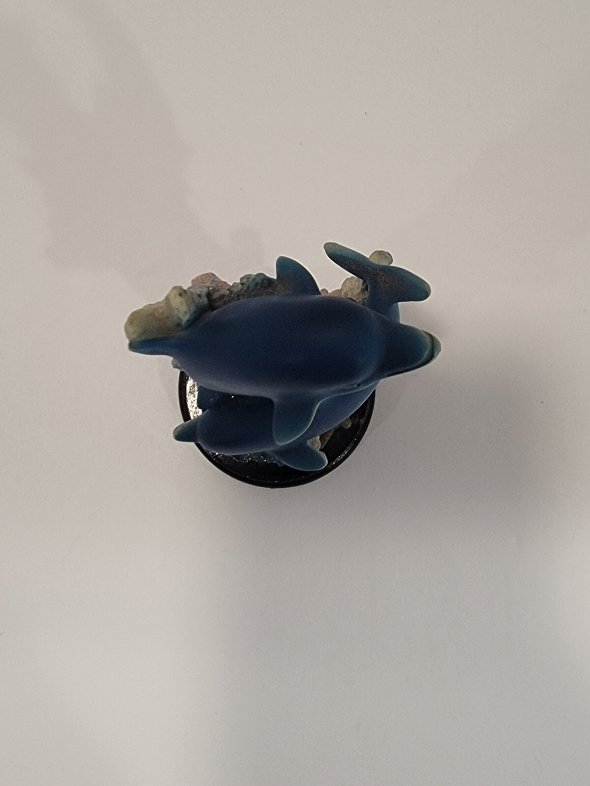 Picture 5 of 10