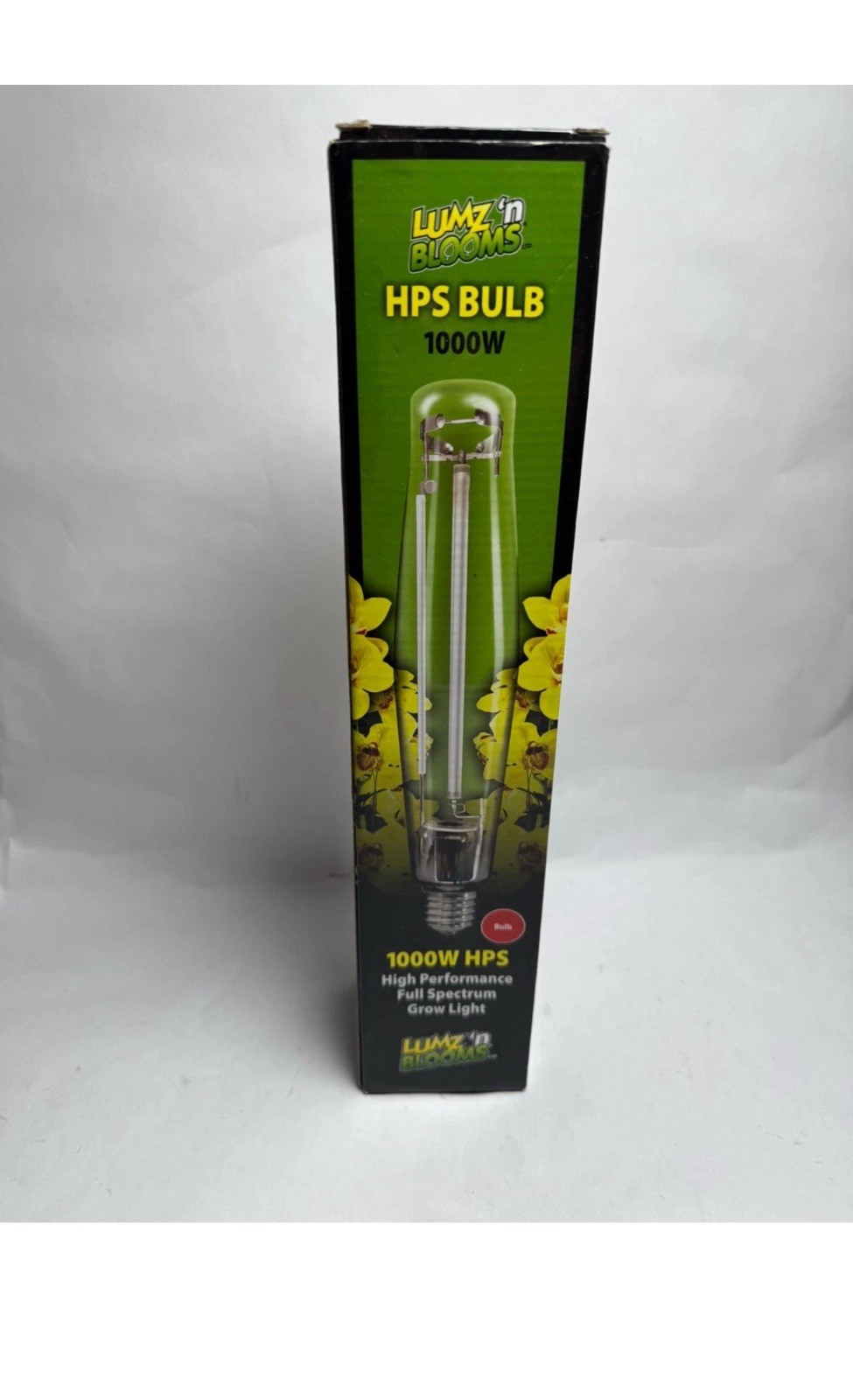 Bulbs Lamp Plants Lumz N Blooms