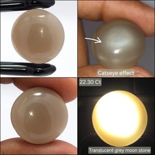 Natural Moonstone cabochon 22.30 ct Gray Cats...
