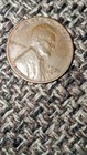 wheat pennies — photo 1