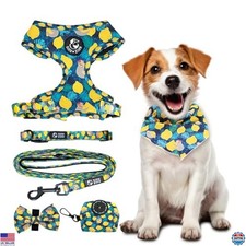 No Pull Harness and Leash Set - 6-in-1 Adjustable Vest Harness and Collars for
