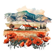 4x Stickers Poppy Field Farm Car Stickers 9x9cm Watercolour Flowers Summer Set