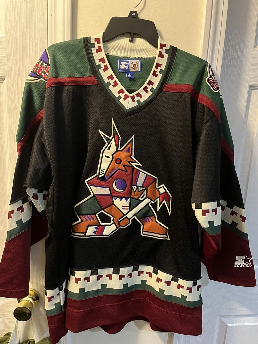 90s NHL CCM製　フェニックスコヨーテズ　ホッケーシャツ　[セール] 古着 CCM NHL CHICAGO BLACKHAWKS シカゴブラックホークス V