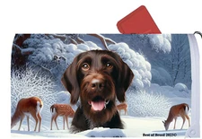 German Wirehaired Pointer Winter Wonderland Mail Box Cover