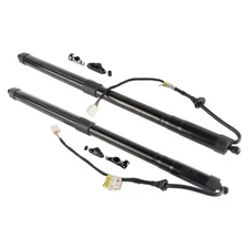 2XRear Tailgate Power Hatch Lift Support Fit 14-19 Toyota Highlander 6891009130
