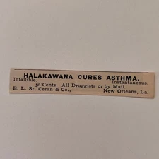 E. L. St. Ceran & Co. Halakawana New Orleans LA 1894 Clipping SAI6-S45