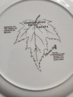 Royal Staffordshire Coronation Queen Elizabeth II Plate w/ Canadian Provinces — photo 8
