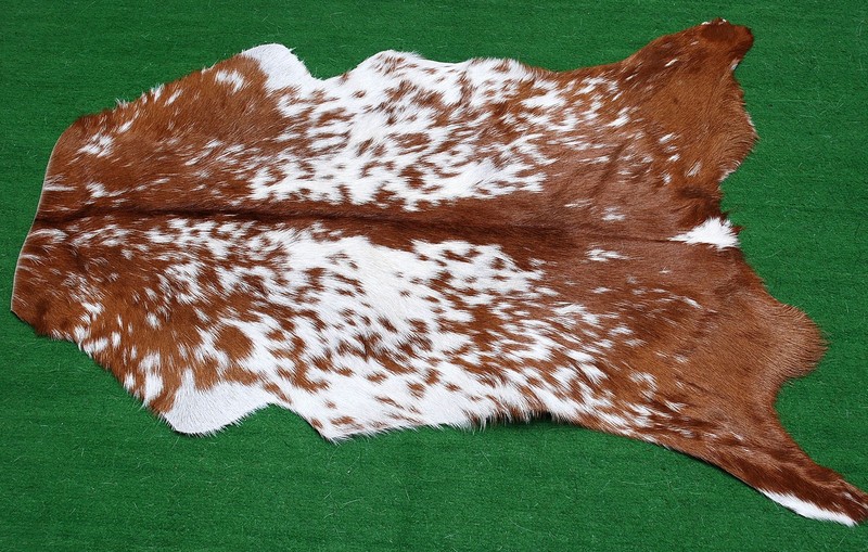 GOAT Western taxidermy Hide Rug Natural Pattern Fur Goat Hide Rode SA-1011