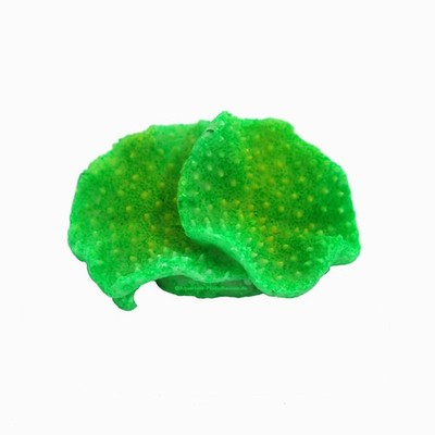 Nano Pilz-Lederkoralle,6x4x2,5cm, Koralle Sarcophyton Nachbildung, Salz Aquarium