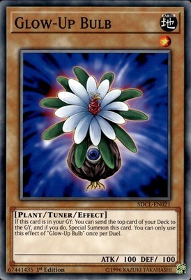 Glow-Up Bulb - 1st Edition SDCL-EN021 - NM - YuGiOh