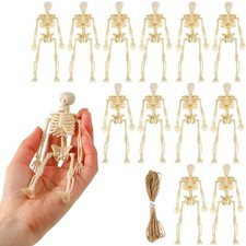 Mini Skeleton Figurines 6 Inch Small Skeletons Halloween Decorations 12Pcs
