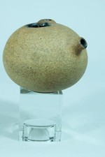 Vase Design / Small Pitcher Sculpture Sandstone Annick And Michel Lodereau La