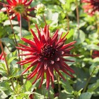 Bild 6 von 272