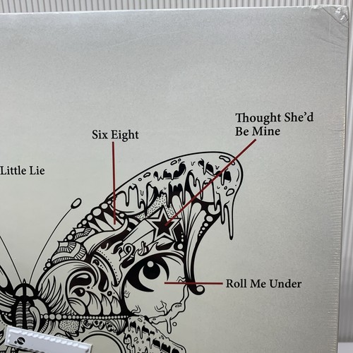 STONE TEMPLE PILOTS SELBSTBETITELTES VINYL LP VERSIEGELT NEUWERTIG - Bild 7 von 10