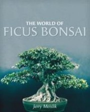 The World of Ficus Bonsai