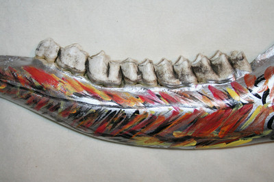 TAXIDERMY BIRD PAINTED MOOSE JAWBONE JR CHARLIE FAST PAINTED OUTSIDER FOLK ART
