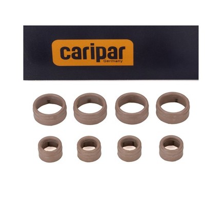 CARIPAR Dichtringsatz Klimaanlage für RENAULT MEGANE 2 GRAND SCENIC 2 7701208148