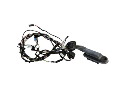 Kabelbaum für Tür und Fensterheber Links Hinten BMW X3 F25 10-14 61129243667