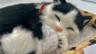 Bild 22 von 28