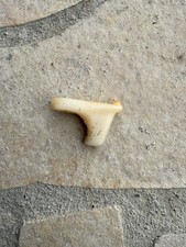 Pièce Plastique Guide Chaîne Tronçonneuse Echo CS 3450