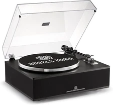 ANGELS HORN Vinyl Record Player, Bluetooth Turntable with Built in Speakers