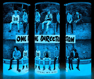 Glow in the Dark One Direction Steal My Girl Music Group Cup Mug Tumbler 20oz