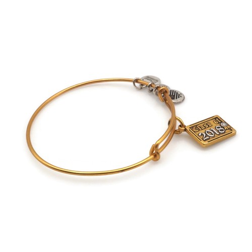 Alex And Ani Gold / Silver Tone Class Of 2018 Expandable Wire Fashion Bracelet - Picture 7 of 12