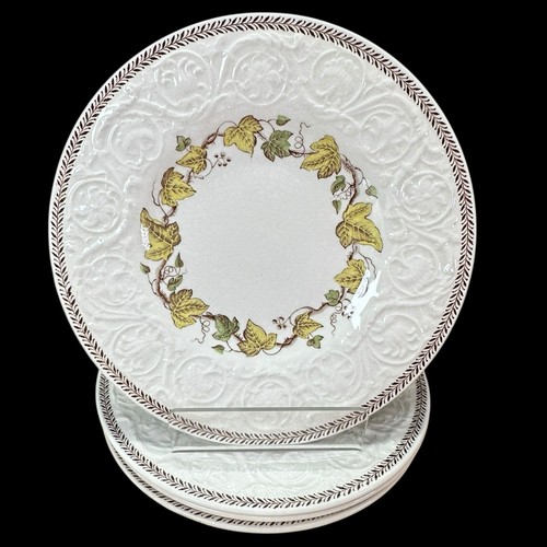 Wedgwood Patrician Golden Ivy Laurel Rim 6.5" Bread & Butter Plates Set Of 4