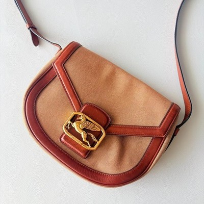 Auth ETRO Pegaso Arnica Crossbody Bag Shoulder Leather Brown Women Italy