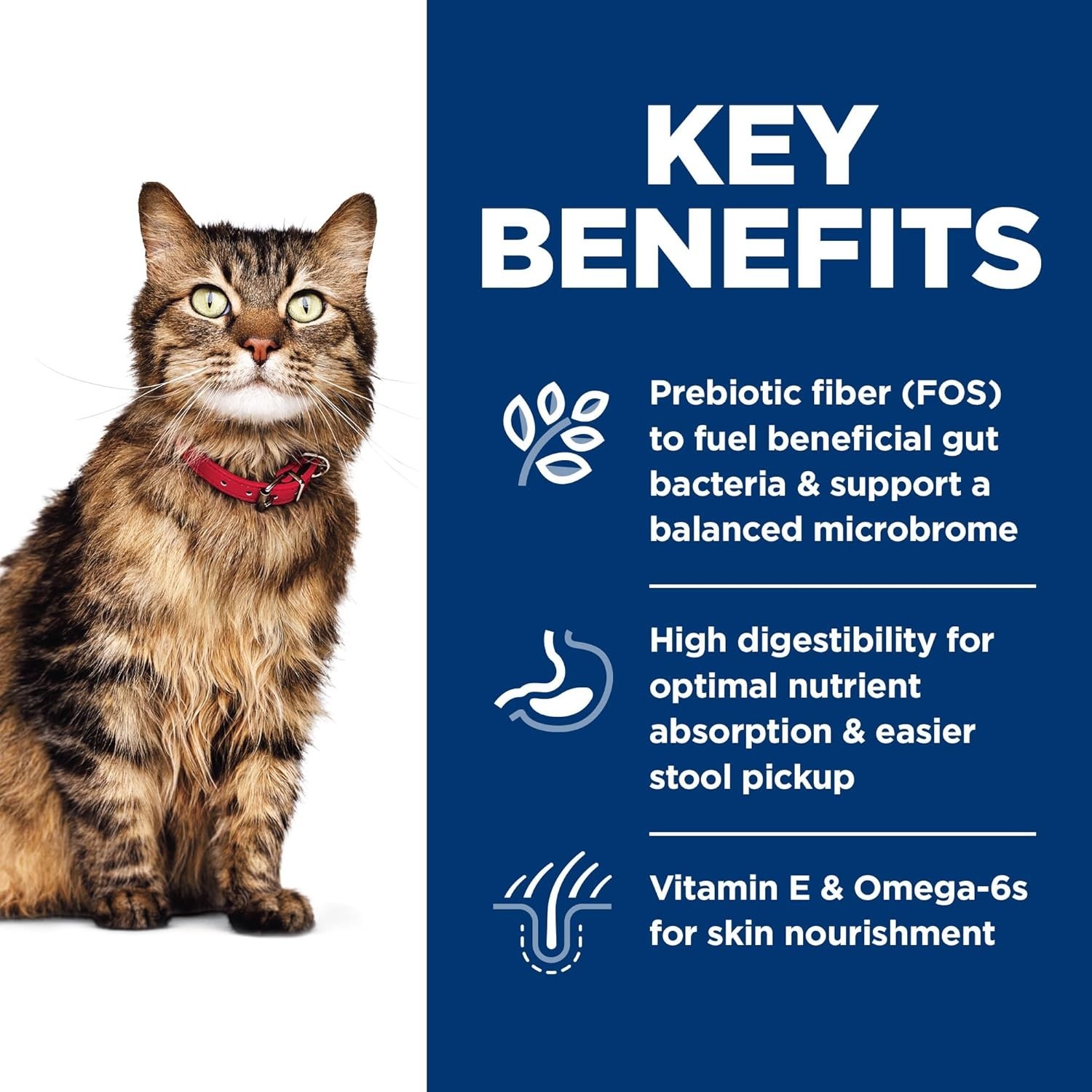 Nutritious Chicken & Rice Formula for Adult Cats - 3.5 lb Sensitive Stomach Food