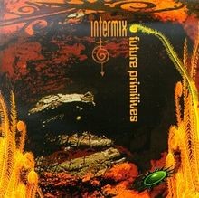 Future Primitives von Intermix | CD | Zustand sehr gut