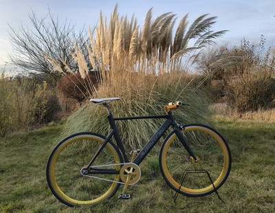 Aventon Mataro   Custom Fixie / Flip-Flop / Singlespeed   RH 55 cm   28 Zoll