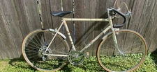 Batavus Vintage Ten Speed