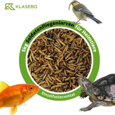 KLASEBO 5kg Soldatenfliegenlarven getrocknet Hermetia Koi Vögel Reptilien wie Mehlwürmer