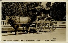 RPPC Gatlinburg TN FERDINAND pulling Street Car wagon 1925-42 real photo PC