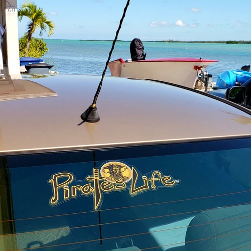 X Large PIRATE'S LIFE BLACKBEARD BLACK/GOLD Bumper Sticker 11" x 5" Di-cut Decal - Picture 4 of 4