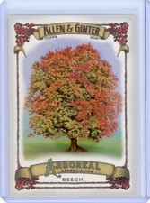 2021 Topps Allen & Ginter Arboreal Appreciation Insert - Beech - AA-15